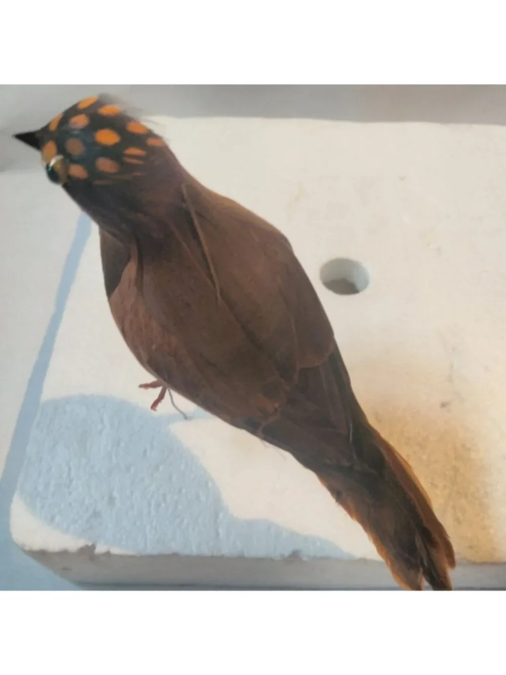 Decorative Tufted Birds Brown Orange Feathers Realistic Craft Display Lot 2